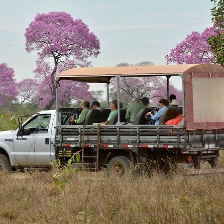 Southwild Pantanal Lodge Pixaim Екстер'єр фото