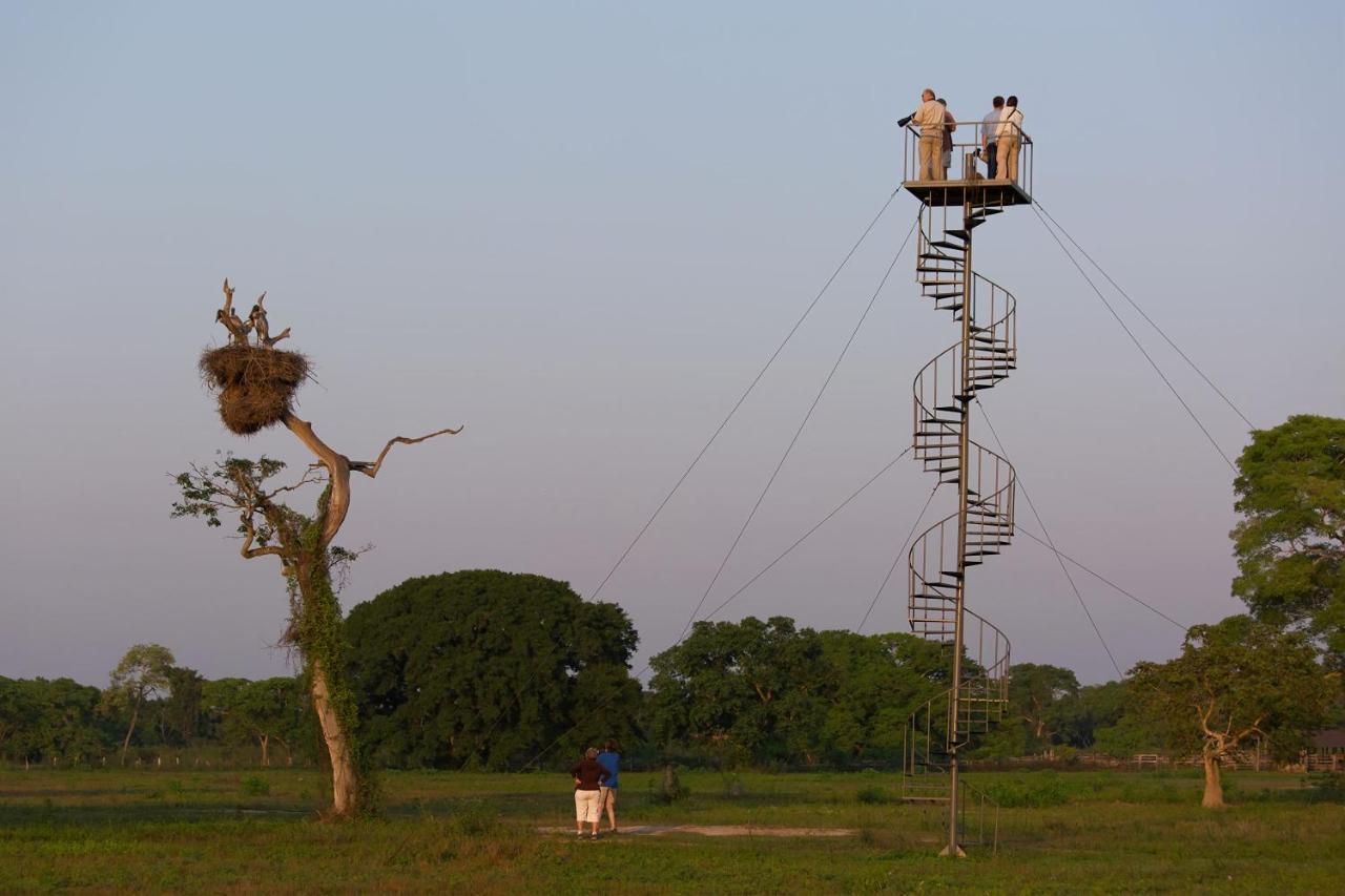 Southwild Pantanal Lodge Pixaim Екстер'єр фото