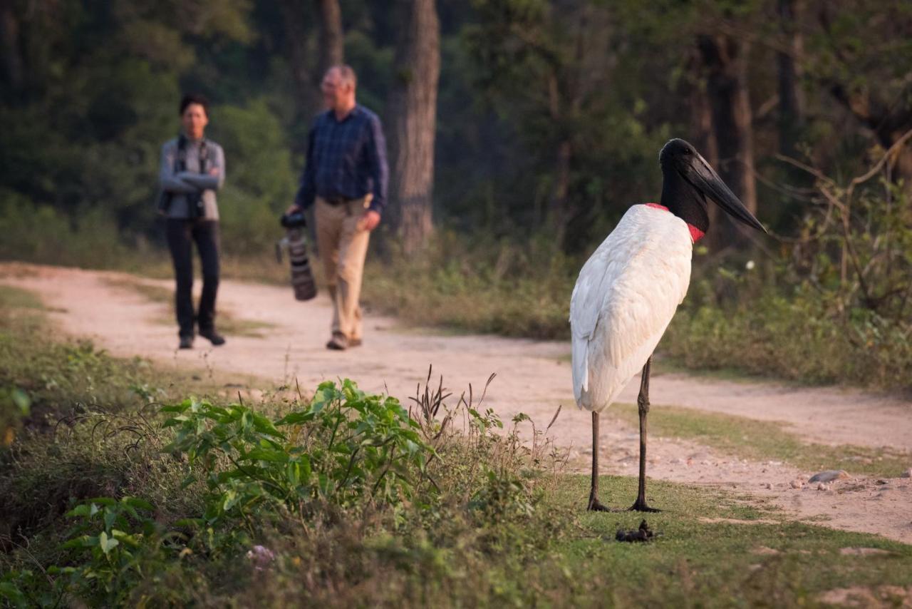 Southwild Pantanal Lodge Pixaim Екстер'єр фото