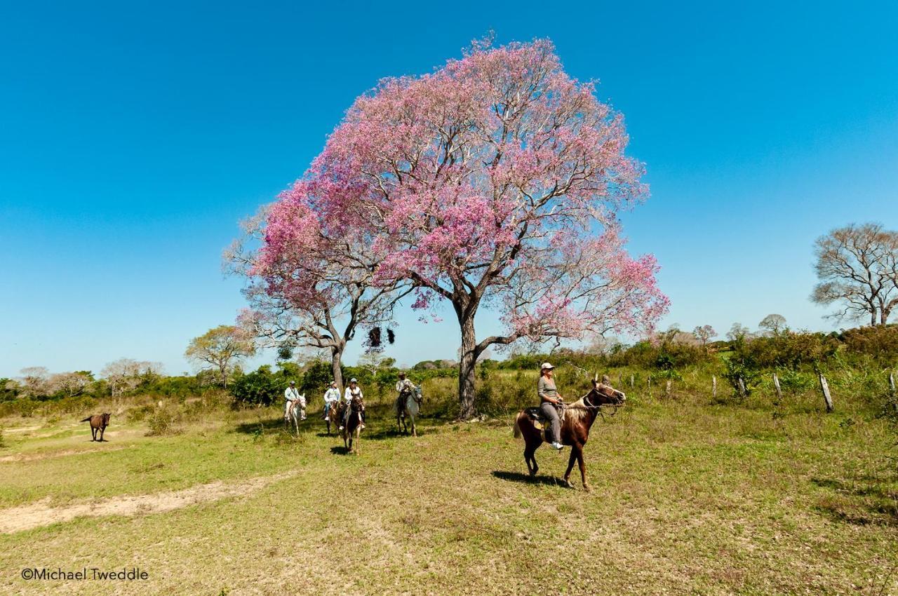 Southwild Pantanal Lodge Pixaim Екстер'єр фото