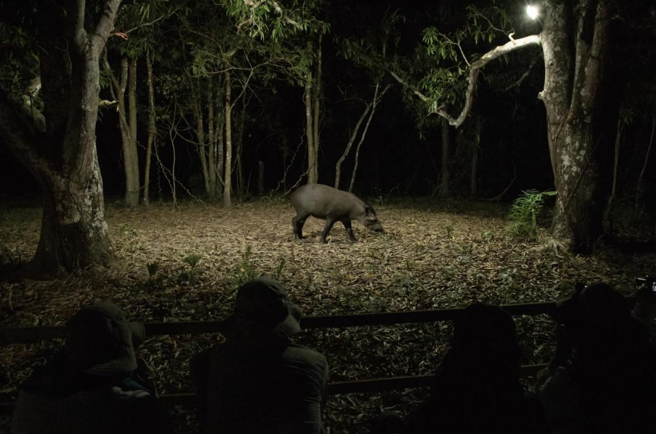 Southwild Pantanal Lodge Pixaim Екстер'єр фото