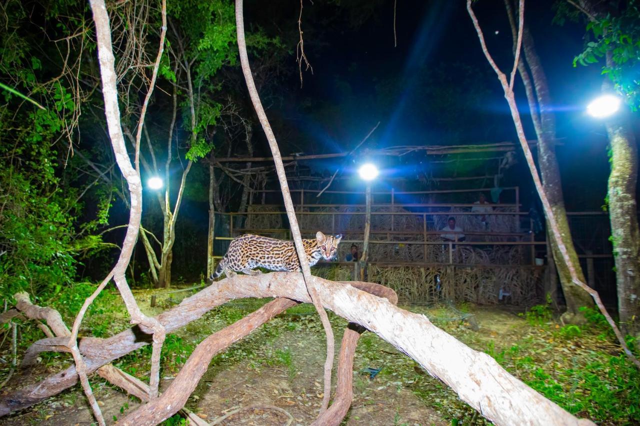 Southwild Pantanal Lodge Pixaim Екстер'єр фото