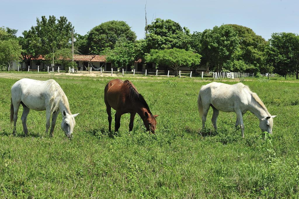 Southwild Pantanal Lodge Pixaim Екстер'єр фото