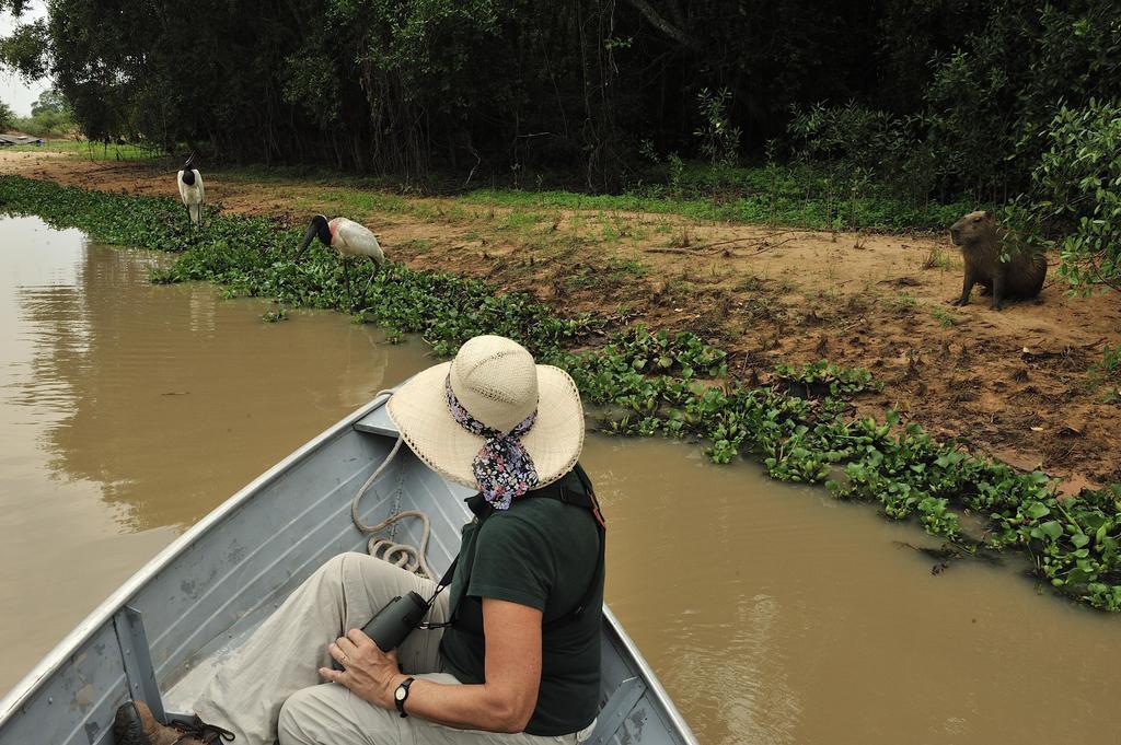 Southwild Pantanal Lodge Pixaim Екстер'єр фото