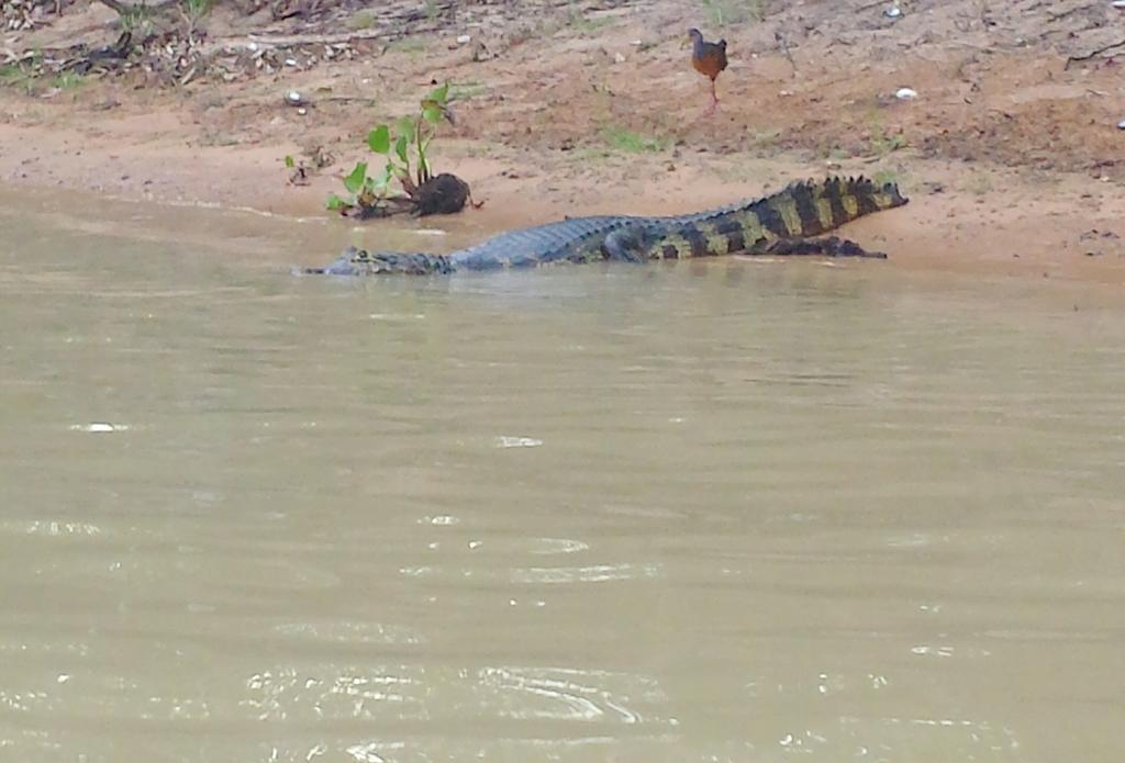 Southwild Pantanal Lodge Pixaim Екстер'єр фото