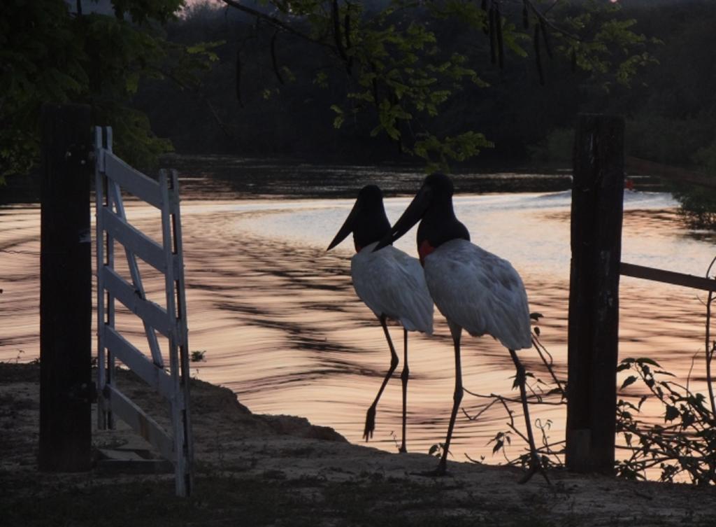 Southwild Pantanal Lodge Pixaim Екстер'єр фото