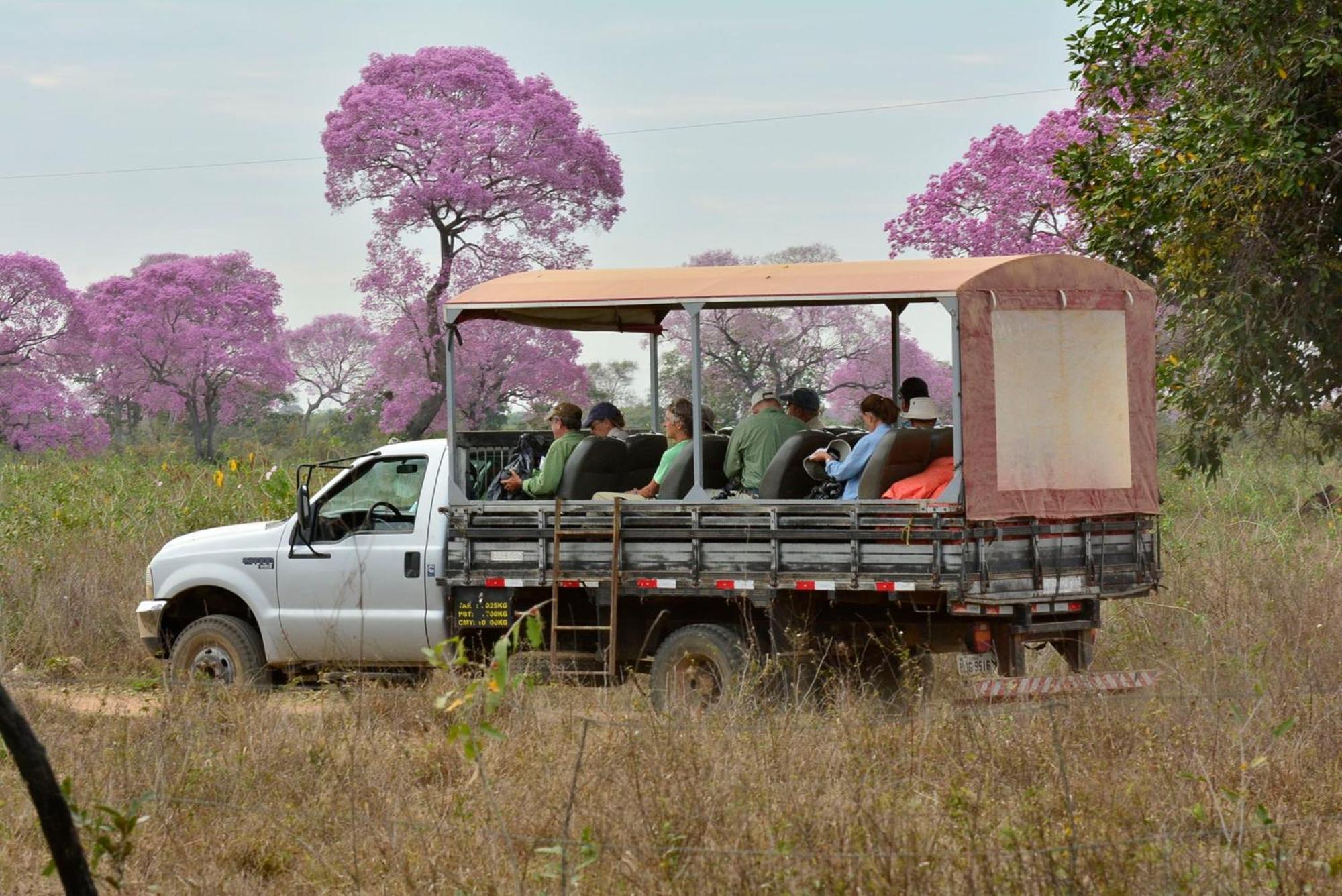 Southwild Pantanal Lodge Pixaim Екстер'єр фото